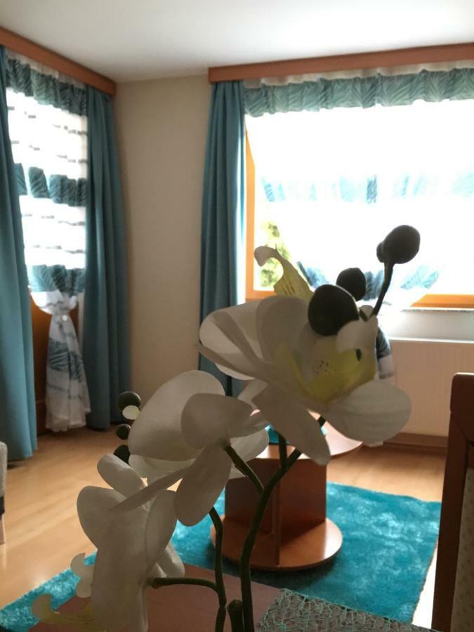 Orchidea Apartman Hegykő エクステリア 写真
