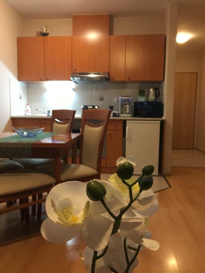Orchidea Apartman Hegykő エクステリア 写真