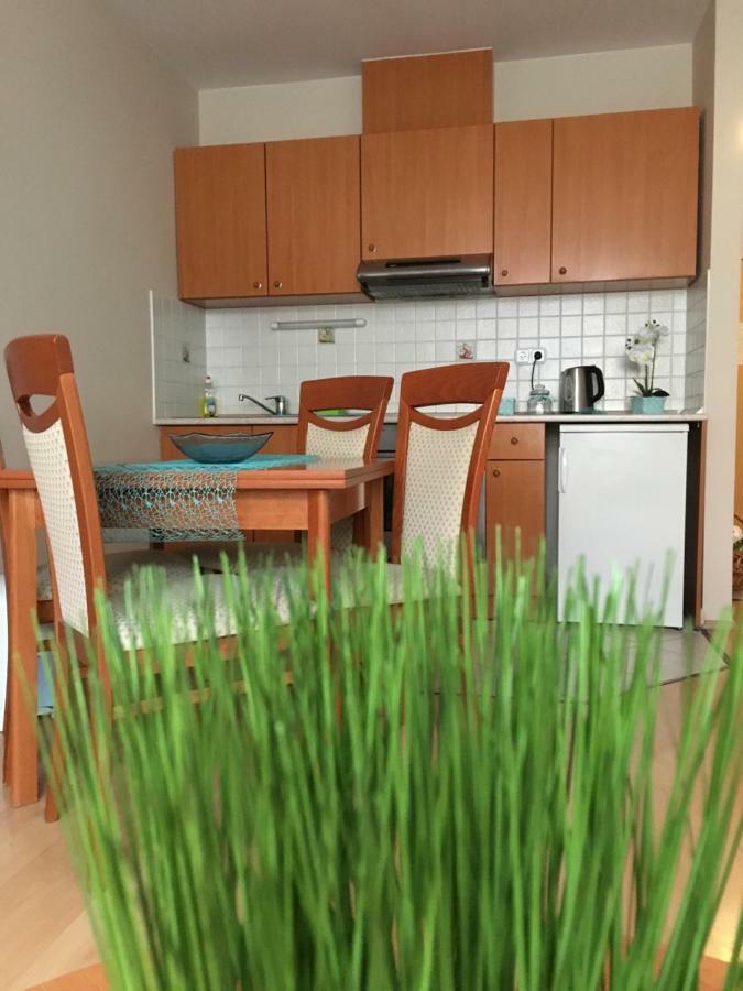 Orchidea Apartman Hegykő エクステリア 写真